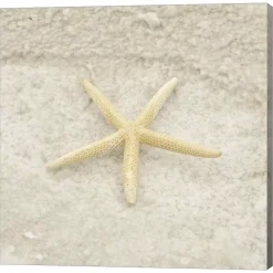 Metaverse Gypsy Sea Life 3 By Lightboxjournal Canvas Art