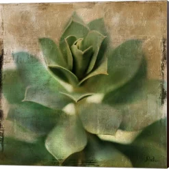 Metaverse Succulent I By Patricia Pinto Canvas Art