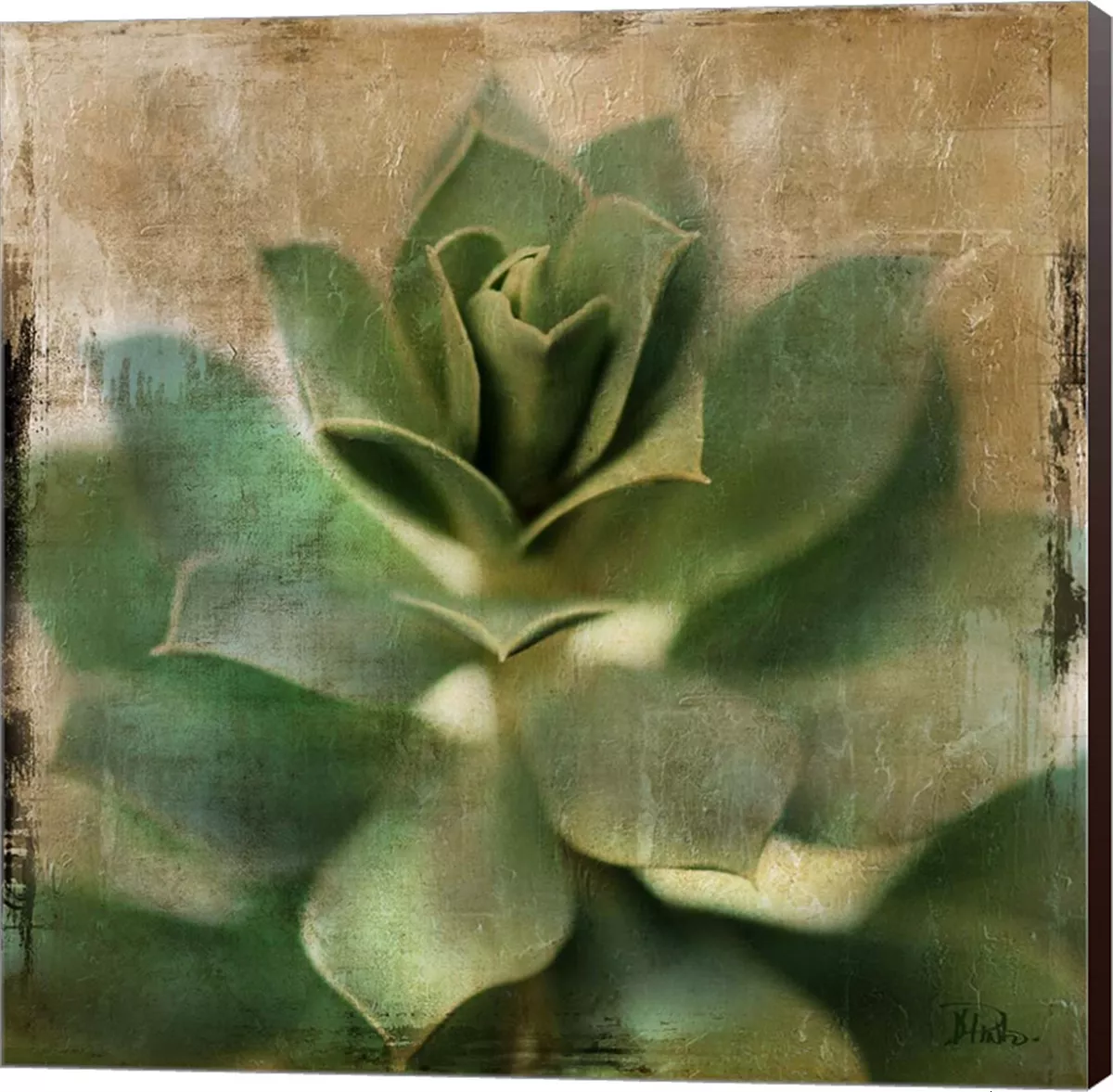 Metaverse Succulent I By Patricia Pinto Canvas Art