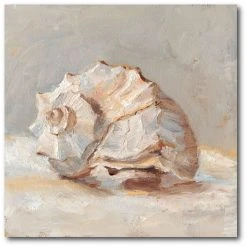 COURTSIDE MARKET Impressionist Shell Study II Gallery-Wrapped Canvas Wall Art - 20 X 20