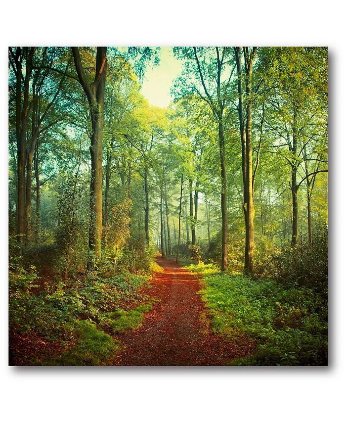 COURTSIDE MARKET Sunday Morning Walk Gallery-Wrapped Canvas Wall Art - 16 X 16
