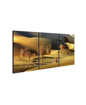 Chic Home Decor Golden Desert 3 Piece Wrapped Canvas Wall Art -20 X 40 - Image 3