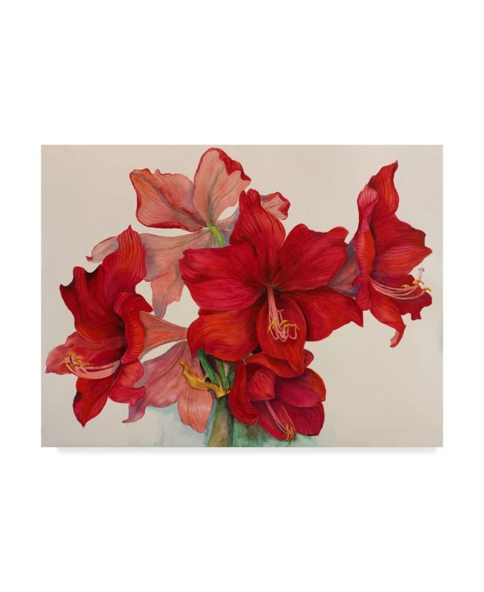 Trademark Global Joanne Porter 'Holiday Amaryllis' Canvas Art - 24 X 32