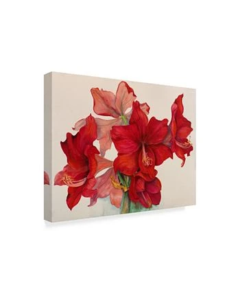 Trademark Global Joanne Porter 'Holiday Amaryllis' Canvas Art - 24 X 32 - Image 2