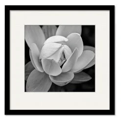 COURTSIDE MARKET Giardia 16 X 16 Framed And Matted Art