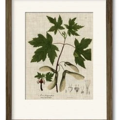 COURTSIDE MARKET Botanical Flame 16 X 20 Framed And Matted Art