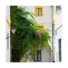 Trademark Global Philippe Hugonnard Made In Spain 3 Architecture And Vegetation In Seville Canvas Art - 19.5 X 26