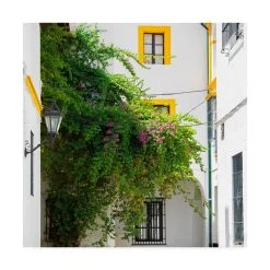 Trademark Global Philippe Hugonnard Made In Spain 3 Architecture And Vegetation In Seville Canvas Art - 19.5 X 26