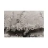 Trademark Global Kurt Shaffer Photographs Intricate Ice Crystals On My Window Canvas Art - 36.5 X 48