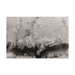 Trademark Global Kurt Shaffer Photographs Intricate Ice Crystals On My Window Canvas Art - 36.5 X 48
