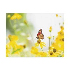 Trademark Global Kurt Shaffer Photographs Monarch On Yellow Canvas Art - 15.5 X 21
