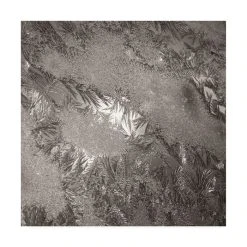 Trademark Global Kurt Shaffer Photographs Mosaic Of Ice Crystals On My Window Canvas Art - 36.5 X 48