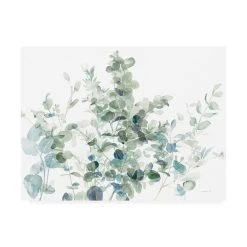 Trademark Global Danhui Nai Eucalyptus I Cool Canvas Art - 27 X 33.5