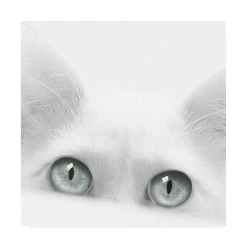 Trademark Global Jon Bertell Diva Canvas Art - 19.5 X 26