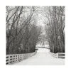 Trademark Global Nicholas Bel Country Lane In Winter Canvas Art - 19.5 X 26