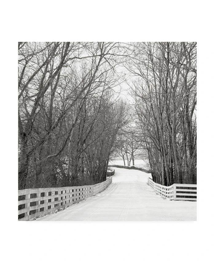 Trademark Global Nicholas Bel Country Lane In Winter Canvas Art - 19.5 X 26