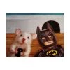 Trademark Global Lucia Hefferna Selfie With Batman Canvas Art - 36.5 X 48