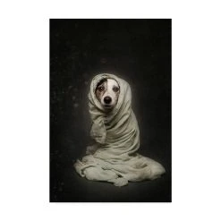 Trademark Global Heike Willers Wrapped Canvas Art - 15 X 20