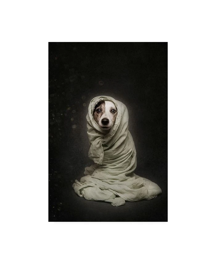 Trademark Global Heike Willers Wrapped Canvas Art - 15 X 20