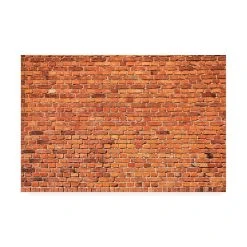 Trademark Global 1X Prints 1 Red Brick Wall Canvas Art - 20 X 25