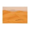 Trademark Global Dan Mirica Camels Caravan In Sahara Canvas Art - 37 X 49