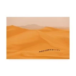 Trademark Global Dan Mirica Camels Caravan In Sahara Canvas Art - 37 X 49