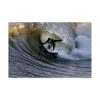 Trademark Global Claudio Moretti To Play With The Nature Canvas Art - 15 X 20