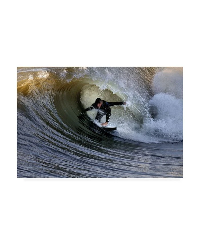 Trademark Global Claudio Moretti To Play With The Nature Canvas Art - 15 X 20