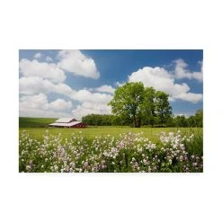 Trademark Global Monte Nagler Flowers And Farm Holmes County Ohio Canvas Art - 20 X 25