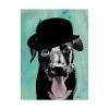 Trademark Global Fab Funky Black Labrador In Bowler Hat Canvas Art - 36.5 X 48