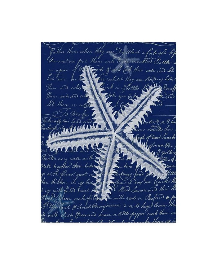 Trademark Global Fab Funky White Starfish On Blue A Canvas Art - 36.5 X 48