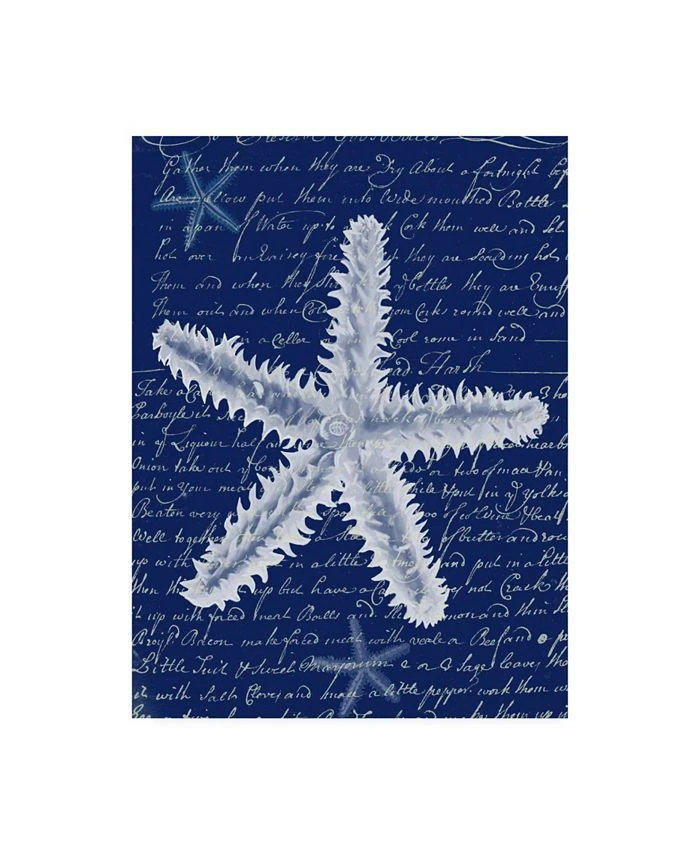 Trademark Global Fab Funky White Starfish On Blue B Canvas Art - 19.5 X 26