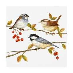 Trademark Global Jane Maday Birds And Berries I Canvas Art - 36.5 X 48