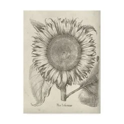 Trademark Global Vision Studio Fresco Sunflower I Canvas Art - 36.5 X 48
