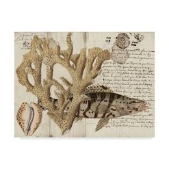 Trademark Global Vision Studio Sea Life Journal II Canvas Art - 20 X 25