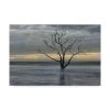 Trademark Global Danny Head Gray Skies Canvas Art - 37 X 49