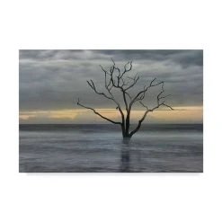 Trademark Global Danny Head Gray Skies Canvas Art - 37 X 49