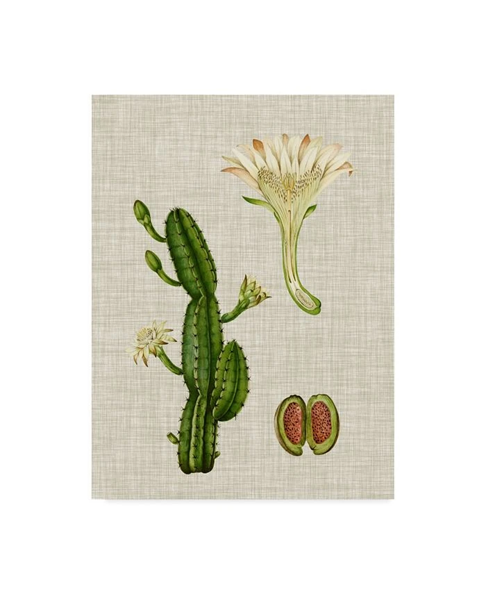 Trademark Global Vision Studio Elegant Tropicals III Canvas Art - 20 X 25