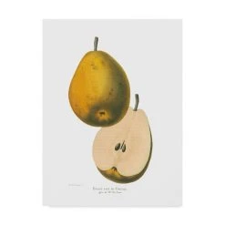Trademark Global Wild Apple Portfolio Tournay On White Canvas Art - 20 X 25