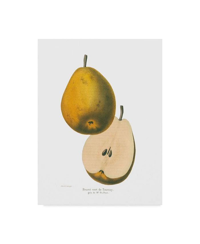 Trademark Global Wild Apple Portfolio Tournay On White Canvas Art - 20 X 25