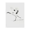 Trademark Global Naomi Mccavitt Japanese Cranes III Canvas Art - 37 X 49