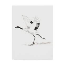 Trademark Global Naomi Mccavitt Japanese Cranes III Canvas Art - 37 X 49