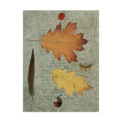 Trademark Global Sandy Lloyd Autumn Leaf III Canvas Art - 37 X 49