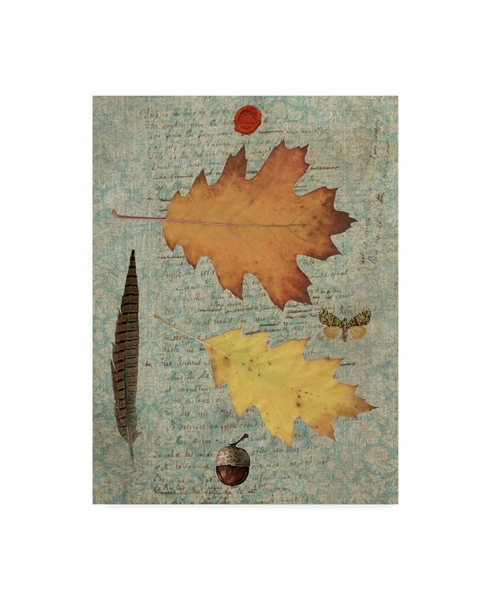 Trademark Global Sandy Lloyd Autumn Leaf III Canvas Art - 37 X 49
