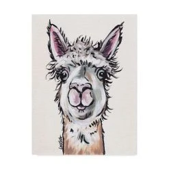 Trademark Global Hippie Hound Studios Alpaca Maggie Canvas Art - 37 X 49