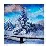 Trademark Global Philippe Sainte-Laudy My Beautiful Fir Tree Canvas Art - 20 X 25