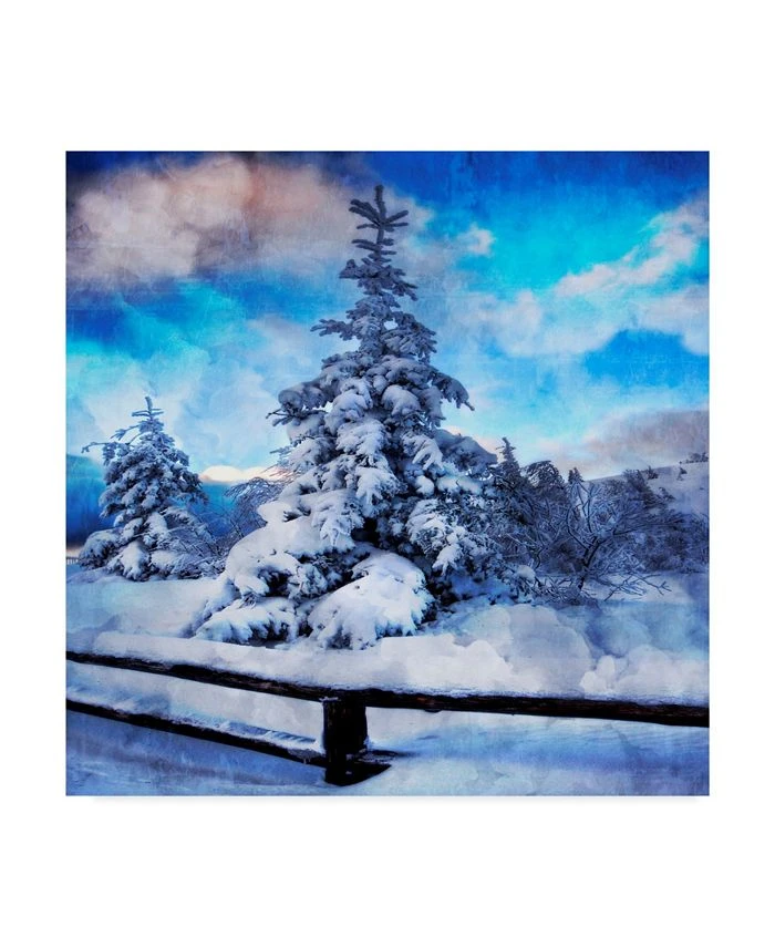 Trademark Global Philippe Sainte-Laudy My Beautiful Fir Tree Canvas Art - 20 X 25