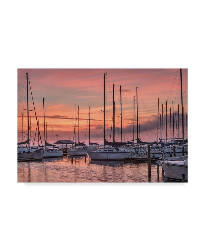 Trademark Global Danny Head Dawning Day Canvas Art - 20 X 25