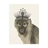 Trademark Global Melissa Wang Majestic Monkey I Canvas Art - 20 X 25