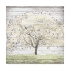 Trademark Global June Erica Vess Barn Tree II Canvas Art - 27 X 33